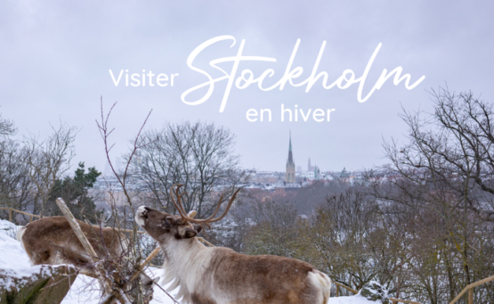 Visiter Stockholm en hiver - Préparer son voyage à Stockholm - Voyage à Stockholm