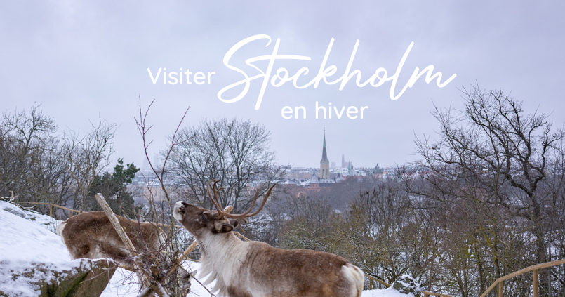 Visiter Stockholm en hiver - Préparer son voyage à Stockholm - Voyage à Stockholm