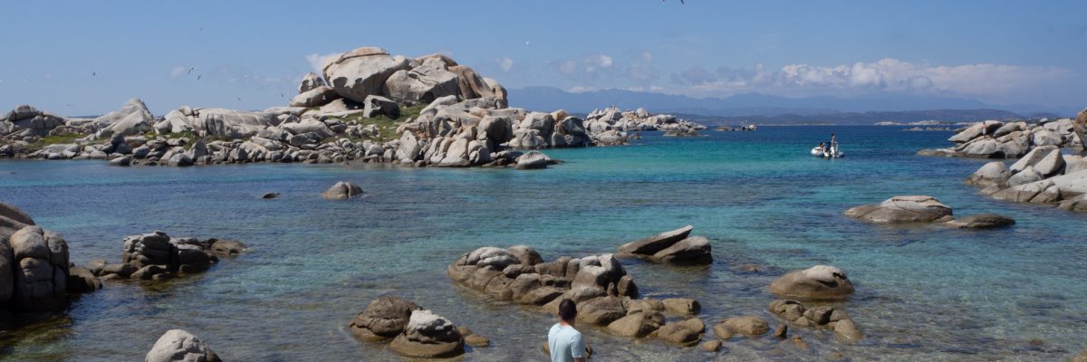 Corse_LPDLV (12) Corse_LPDLV (12)