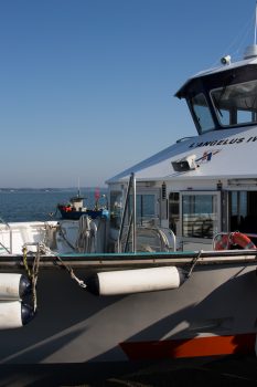 croisiere_golfe_morbihan_les_pieds_dans_le_vide (3)